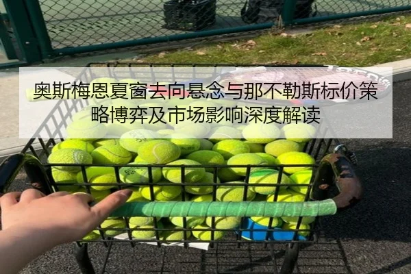 奥斯梅恩夏窗去向悬念与那不勒斯标价策略博弈及市场影响深度解读