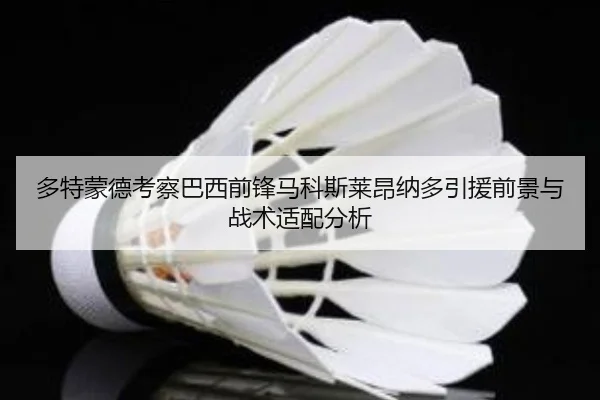 多特蒙德考察巴西前锋马科斯莱昂纳多引援前景与战术适配分析